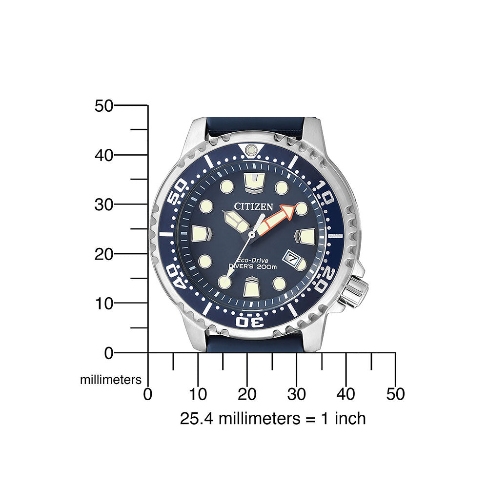 CITIZEN Mod. BN0151-17L-4