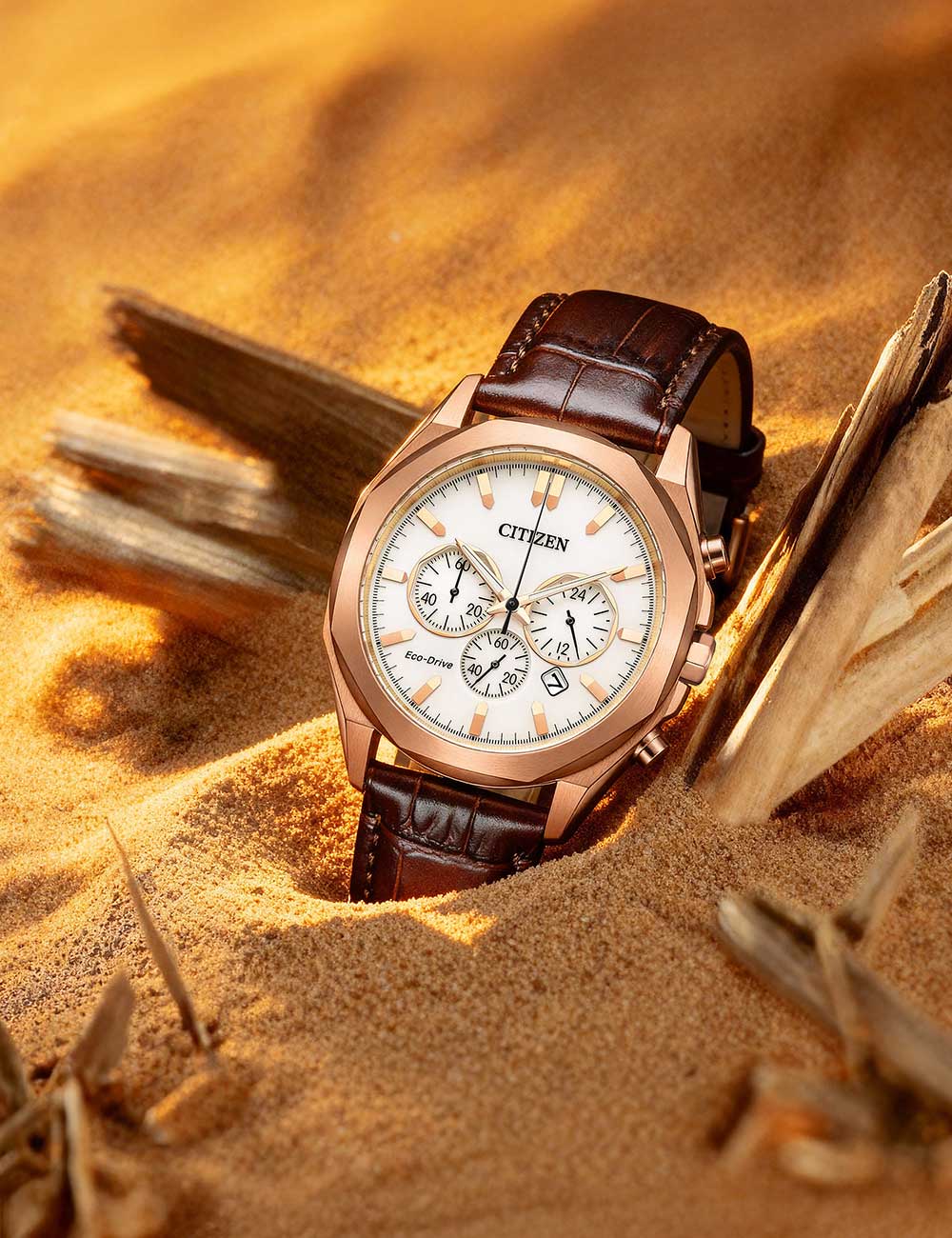 CITIZEN Mod. CA4593-15A-2